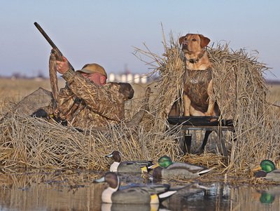 Your Daily Duck Hunting Inspiration – Hunters Helping Heroes