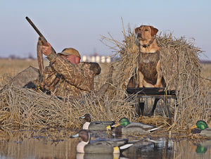 The Modern Guide to Crafting an Effective Duck Blind